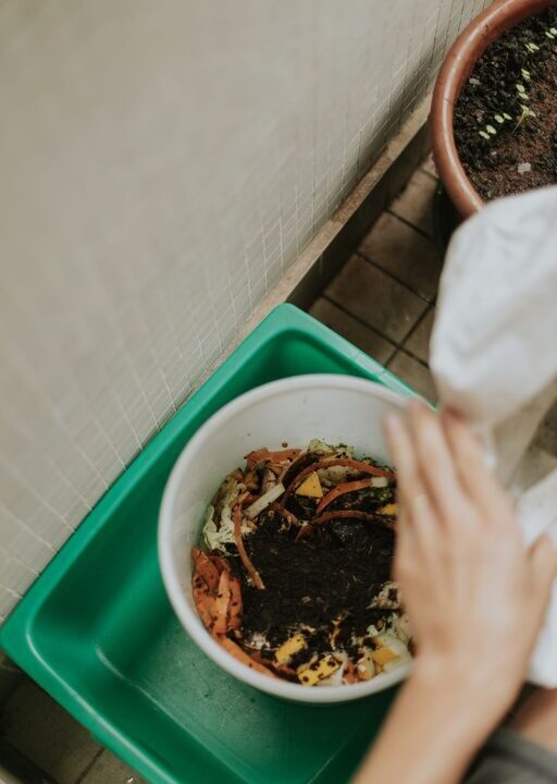 Beginner Tips for Composting at Home: A Simple Guide to Getting Started
